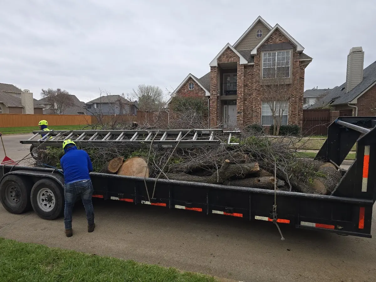 Expert Crown Reduction with proper safety equipment in Abbeville